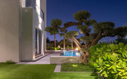 The Bold Details Behind Modern Luxury Swimming Pool Design